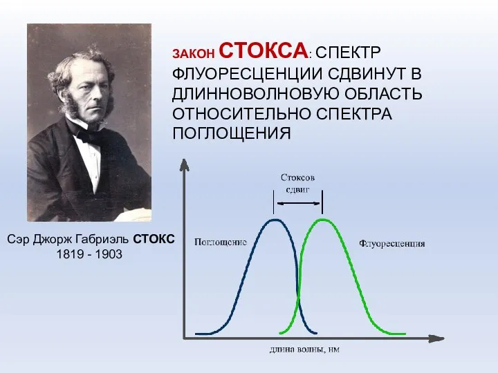 ЗАКОН СТОКСА: СПЕКТР ФЛУОРЕСЦЕНЦИИ СДВИНУТ В ДЛИННОВОЛНОВУЮ ОБЛАСТЬ ОТНОСИТЕЛЬНО СПЕКТРА ПОГЛОЩЕНИЯ