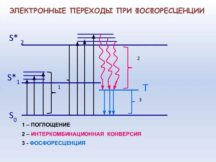 S0 S*1 S* 2 1 2 3 ЭЛЕКТРОННЫЕ ПЕРЕХОДЫ ПРИ ФОСФОРЕСЦЕНЦИИ