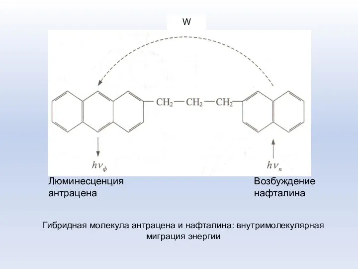 W Гибридная молекула антрацена и нафталина: внутримолекулярная миграция энергии Возбуждение нафталина Люминесценция антрацена