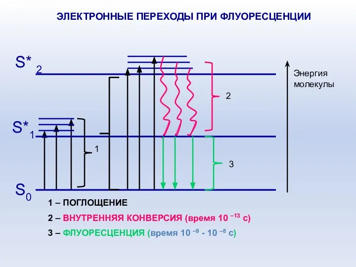 1 – ПОГЛОЩЕНИЕ 2 – ВНУТРЕННЯЯ КОНВЕРСИЯ (время 10 –13 с)