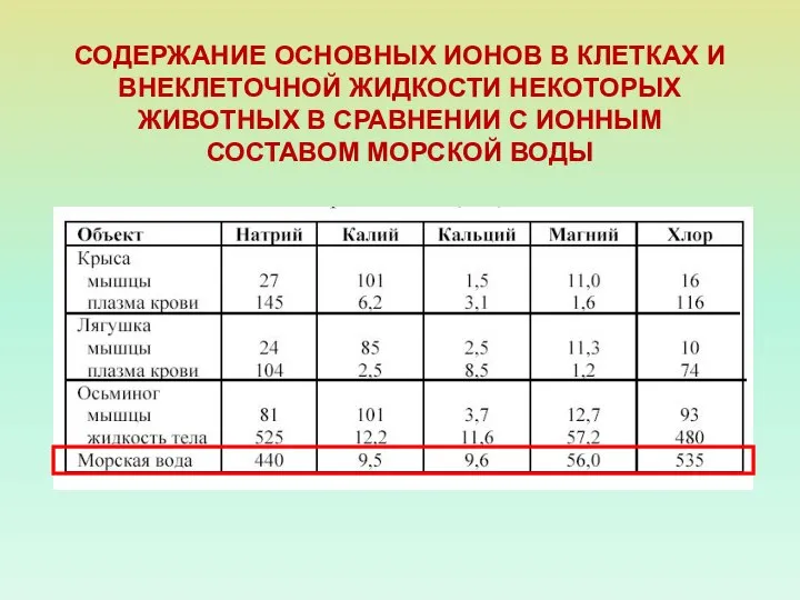 СОДЕРЖАНИЕ ОСНОВНЫХ ИОНОВ В КЛЕТКАХ И ВНЕКЛЕТОЧНОЙ ЖИДКОСТИ НЕКОТОРЫХ ЖИВОТНЫХ В