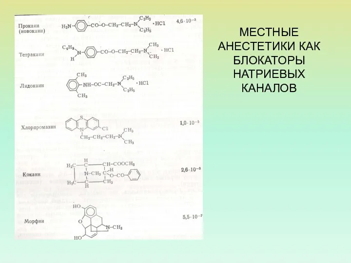 МЕСТНЫЕ АНЕСТЕТИКИ КАК БЛОКАТОРЫ НАТРИЕВЫХ КАНАЛОВ