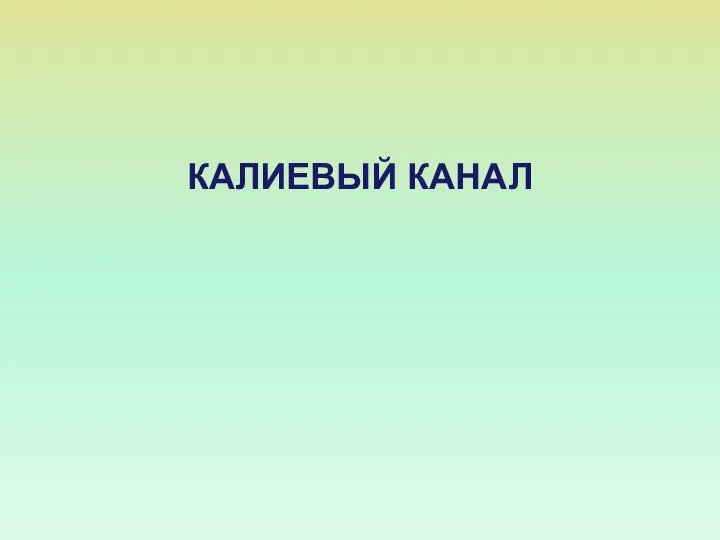 КАЛИЕВЫЙ КАНАЛ