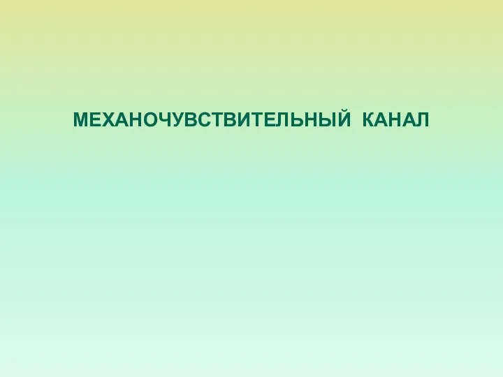 МЕХАНОЧУВСТВИТЕЛЬНЫЙ КАНАЛ