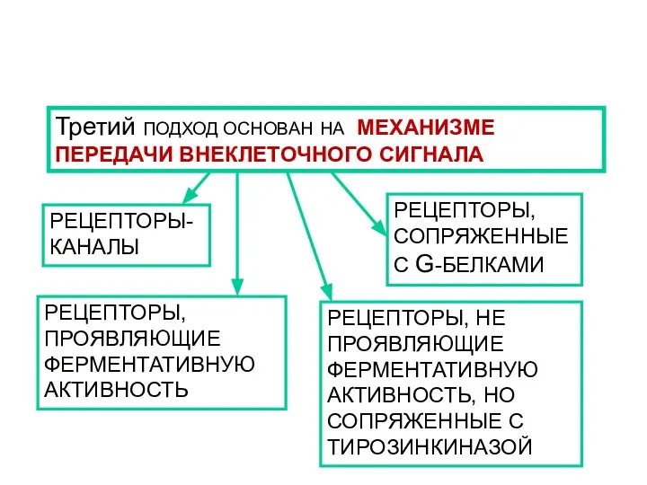 РЕЦЕПТОРЫ, ПРОЯВЛЯЮЩИЕ ФЕРМЕНТАТИВНУЮ АКТИВНОСТЬ