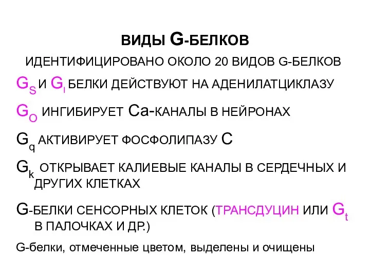 ВИДЫ G-БЕЛКОВ ИДЕНТИФИЦИРОВАНО ОКОЛО 20 ВИДОВ G-БЕЛКОВ GS И GI БЕЛКИ