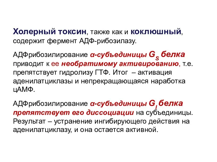 Холерный токсин, также как и коклюшный, содержит фермент АДФ-рибозилазу. АДФрибозилирование α-субъединицы