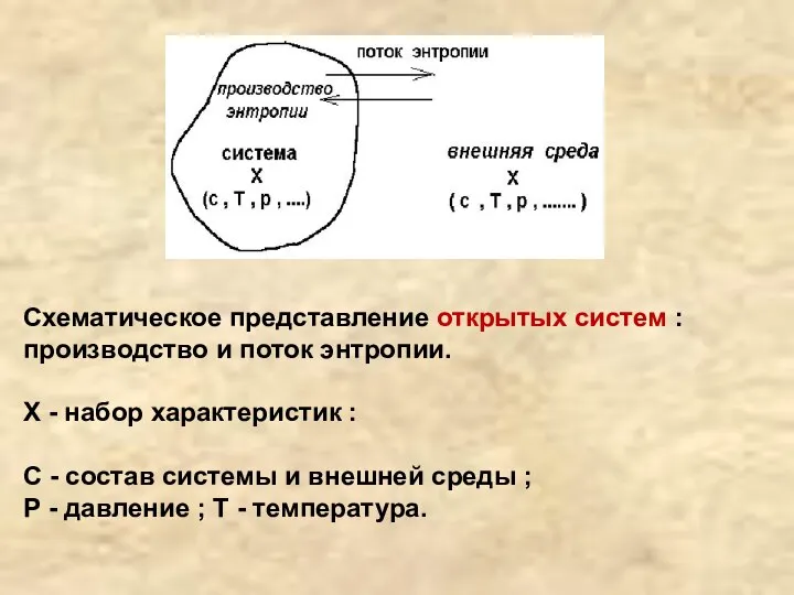 Схематическое представление открытых систем : производство и поток энтропии. Х -