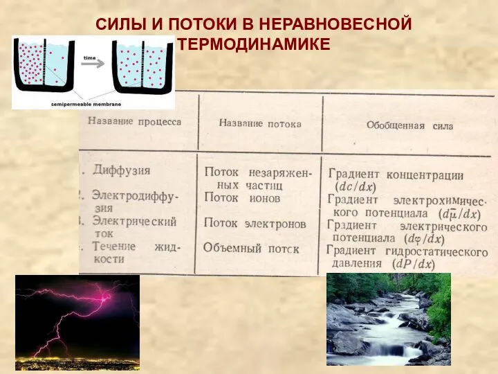 СИЛЫ И ПОТОКИ В НЕРАВНОВЕСНОЙ ТЕРМОДИНАМИКЕ