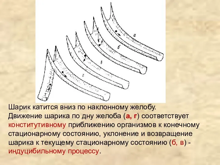 Шарик катится вниз по наклонному желобу. Движение шарика по дну желоба