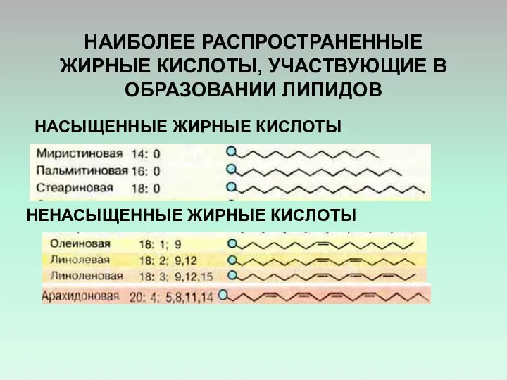 Жирные кислоты свойства