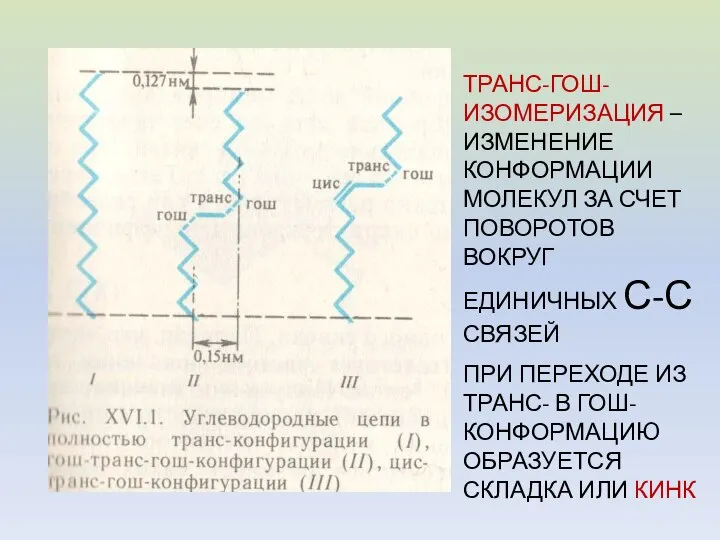 ТРАНС-ГОШ-ИЗОМЕРИЗАЦИЯ – ИЗМЕНЕНИЕ КОНФОРМАЦИИ МОЛЕКУЛ ЗА СЧЕТ ПОВОРОТОВ ВОКРУГ ЕДИНИЧНЫХ С-С