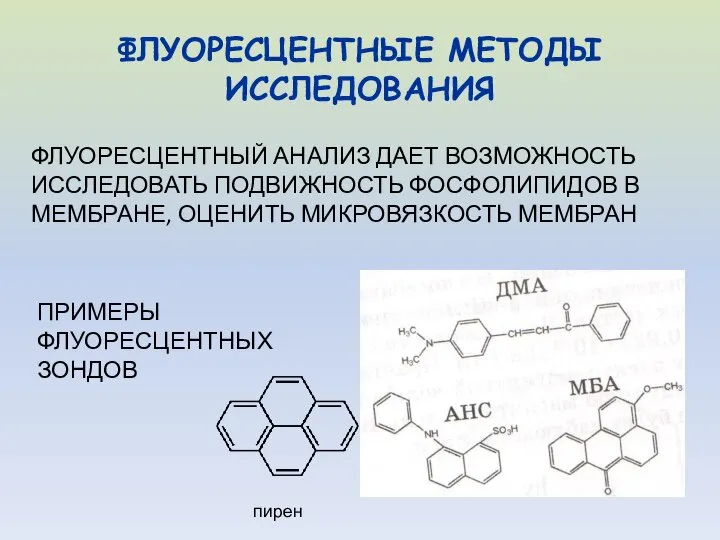 ФЛУОРЕСЦЕНТНЫЕ МЕТОДЫ ИССЛЕДОВАНИЯ ФЛУОРЕСЦЕНТНЫЙ АНАЛИЗ ДАЕТ ВОЗМОЖНОСТЬ ИССЛЕДОВАТЬ ПОДВИЖНОСТЬ ФОСФОЛИПИДОВ В