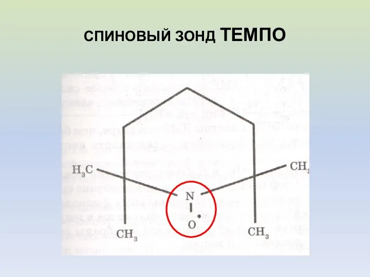 СПИНОВЫЙ ЗОНД ТЕМПО