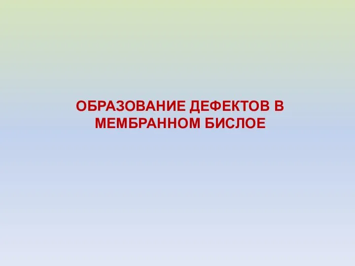 ОБРАЗОВАНИЕ ДЕФЕКТОВ В МЕМБРАННОМ БИСЛОЕ