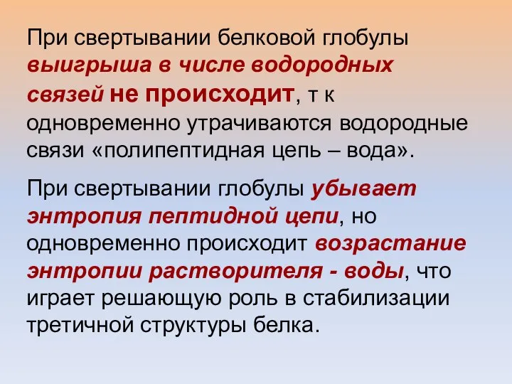 При свертывании белковой глобулы выигрыша в числе водородных связей не происходит,