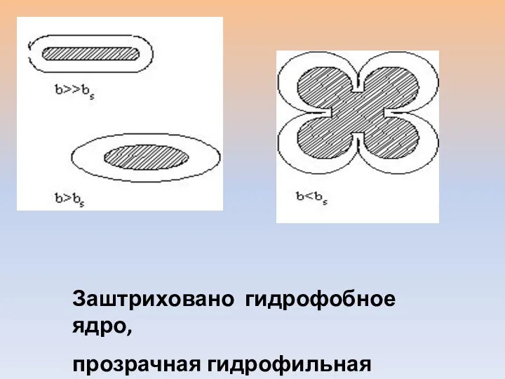 Заштриховано гидрофобное ядро, прозрачная гидрофильная оболочка