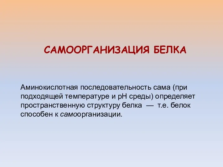 САМООРГАНИЗАЦИЯ БЕЛКА Аминокислотная последовательность сама (при подходящей температуре и рН среды)