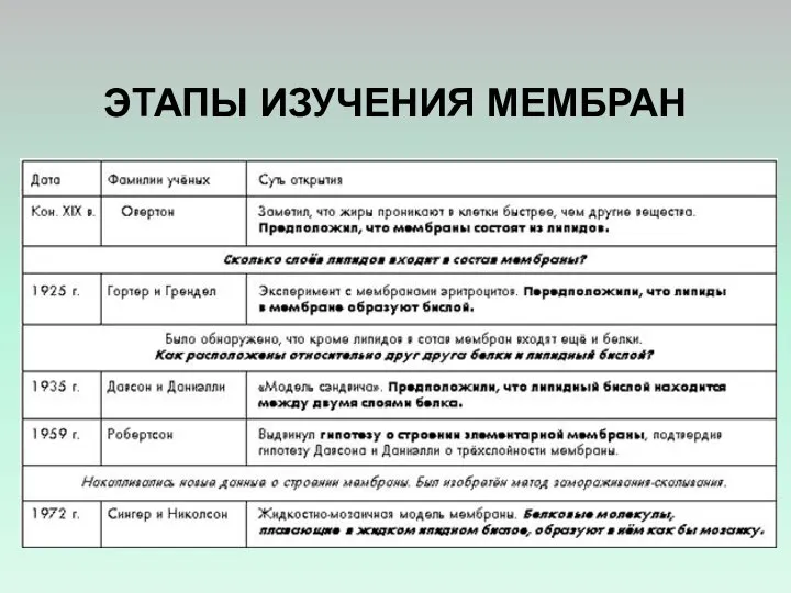 ЭТАПЫ ИЗУЧЕНИЯ МЕМБРАН