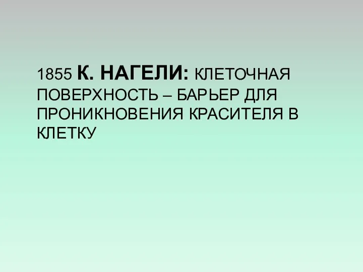 1855 К. НАГЕЛИ: КЛЕТОЧНАЯ ПОВЕРХНОСТЬ – БАРЬЕР ДЛЯ ПРОНИКНОВЕНИЯ КРАСИТЕЛЯ В КЛЕТКУ