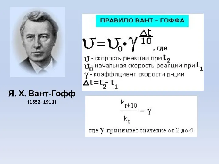 Я. Х. Вант-Гофф (1852–1911)