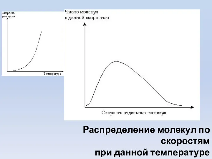 Распределение молекул по скоростям при данной температуре