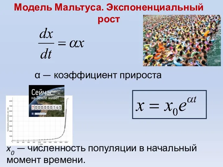 Модель Мальтуса. Экспоненциальный рост α — коэффициент прироста x0 — численность популяции в начальный момент времени.