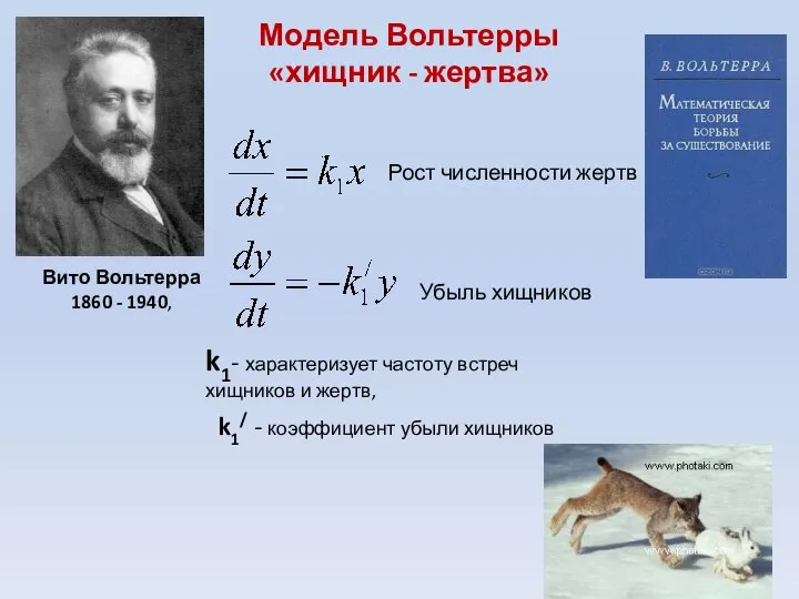 Модель Вольтерры «хищник - жертва» Вито Вольтерра 1860 - 1940, Рост