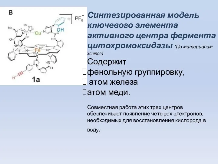 Синтезированная модель ключевого элемента активного центра фермента цитохромоксидазы (По материалам Science)