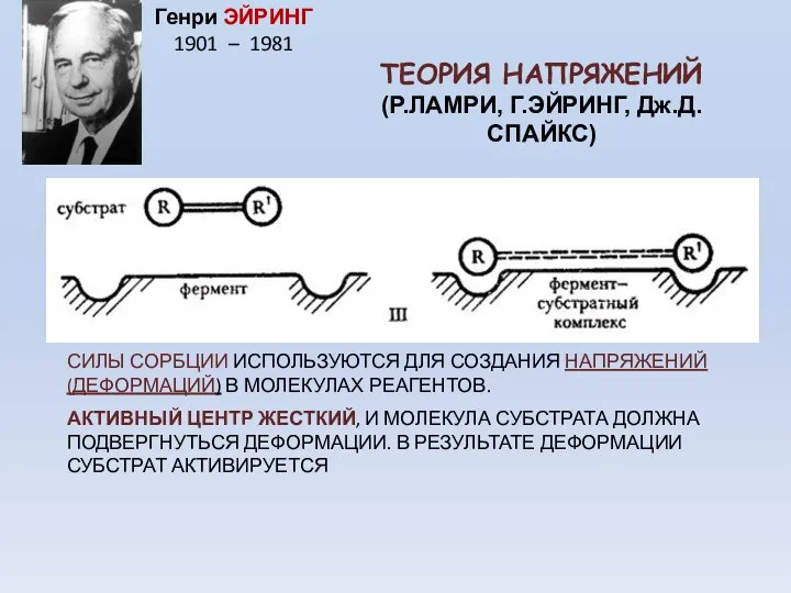 ТЕОРИЯ НАПРЯЖЕНИЙ (Р.ЛАМРИ, Г.ЭЙРИНГ, Дж.Д.СПАЙКС) СИЛЫ СОРБЦИИ ИСПОЛЬЗУЮТСЯ ДЛЯ СОЗДАНИЯ НАПРЯЖЕНИЙ