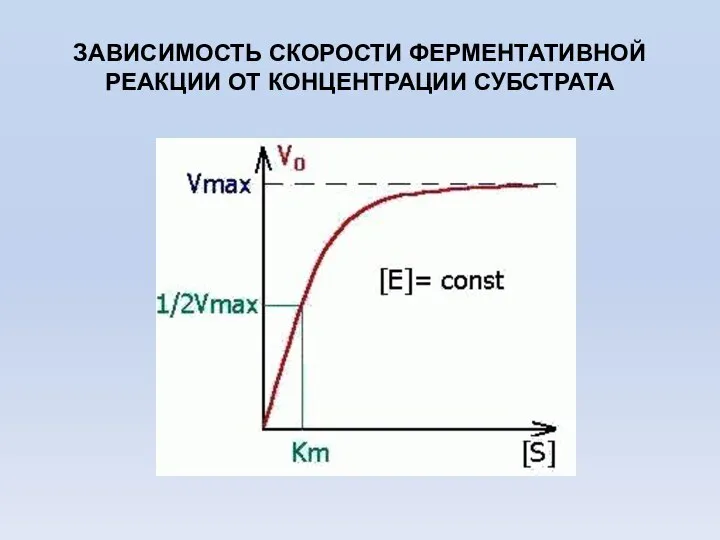 ЗАВИСИМОСТЬ СКОРОСТИ ФЕРМЕНТАТИВНОЙ РЕАКЦИИ ОТ КОНЦЕНТРАЦИИ СУБСТРАТА