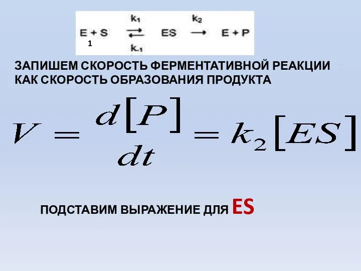 ЗАПИШЕМ СКОРОСТЬ ФЕРМЕНТАТИВНОЙ РЕАКЦИИ КАК СКОРОСТЬ ОБРАЗОВАНИЯ ПРОДУКТА ПОДСТАВИМ ВЫРАЖЕНИЕ ДЛЯ ES