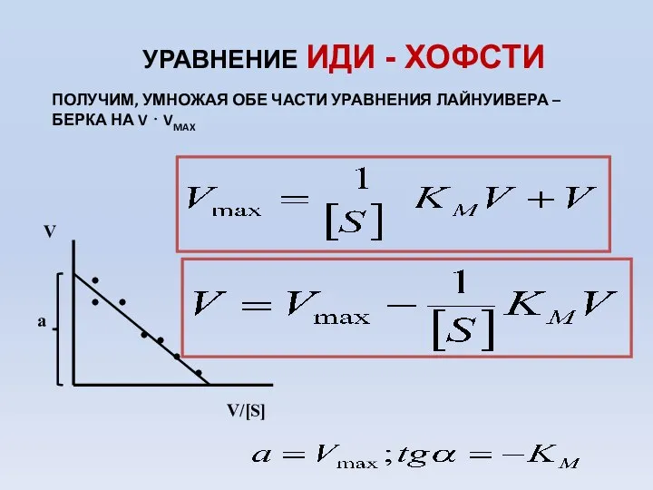 УРАВНЕНИЕ ИДИ - ХОФСТИ ПОЛУЧИМ, УМНОЖАЯ ОБЕ ЧАСТИ УРАВНЕНИЯ ЛАЙНУИВЕРА – БЕРКА НА V ⋅ VMAX