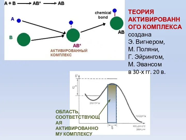 ТЕОРИЯ АКТИВИРОВАННОГО КОМПЛЕКСА создана Э. Вигнером, М. Поляни, Г. Эйрингом, М.