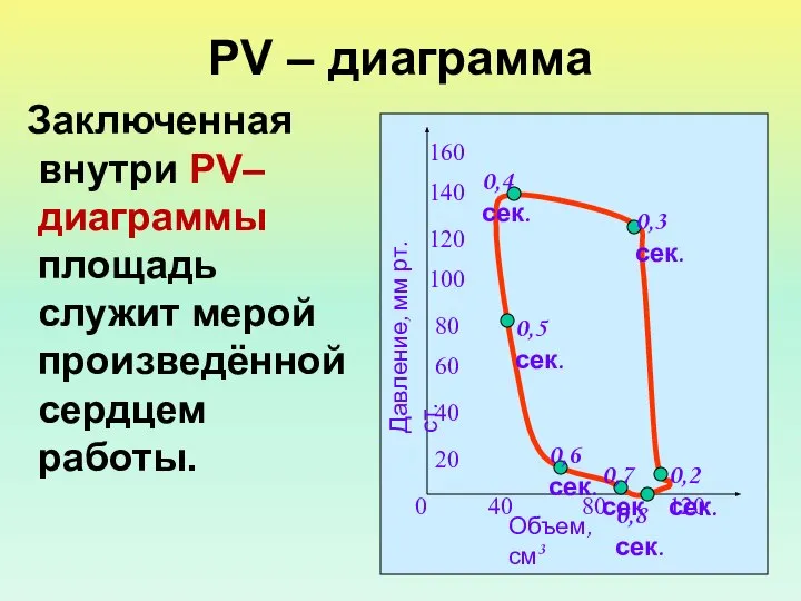 PV – диаграмма Заключенная внутри PV–диаграммы площадь служит мерой произведённой сердцем