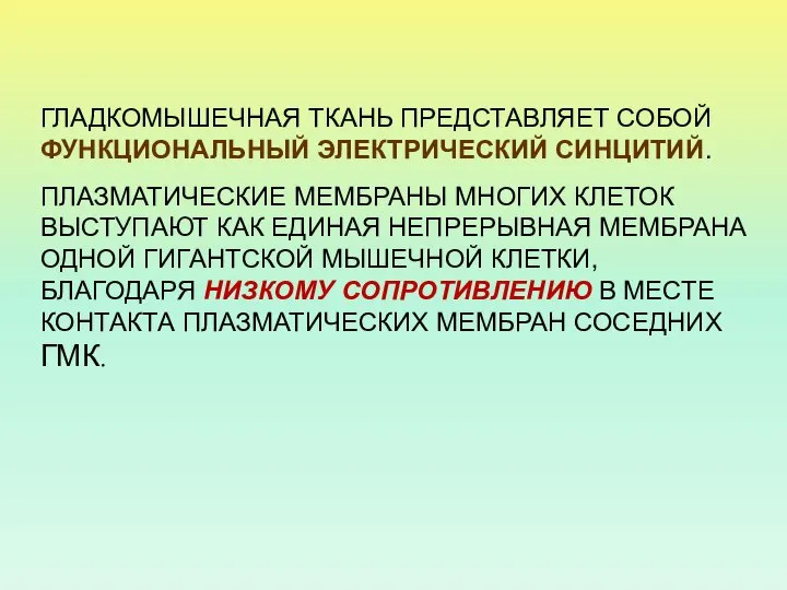 ГЛАДКОМЫШЕЧНАЯ ТКАНЬ ПРЕДСТАВЛЯЕТ СОБОЙ ФУНКЦИОНАЛЬНЫЙ ЭЛЕКТРИЧЕСКИЙ СИНЦИТИЙ. ПЛАЗМАТИЧЕСКИЕ МЕМБРАНЫ МНОГИХ КЛЕТОК