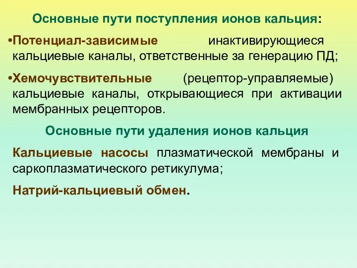 Основные пути поступления ионов кальция: Потенциал-зависимые инактивирующиеся кальциевые каналы, ответственные за