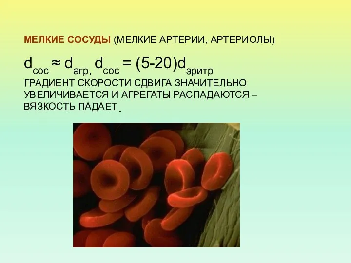 МЕЛКИЕ СОСУДЫ (МЕЛКИЕ АРТЕРИИ, АРТЕРИОЛЫ) dсос ≈ dагр, dсос = (5-20)dэритр