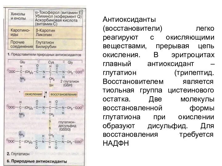 Антиоксиданты (восстановители) легко реагируют с окисляющими веществами, прерывая цепь окисления. В