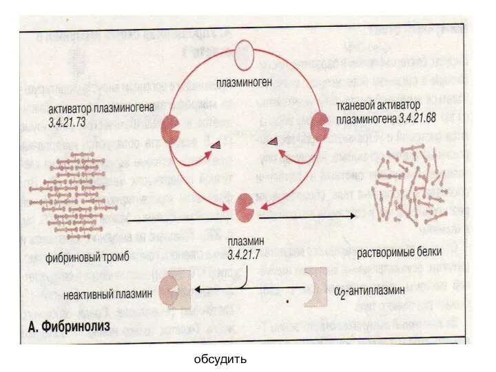 обсудить