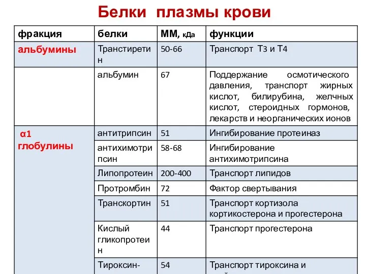 Белки плазмы крови