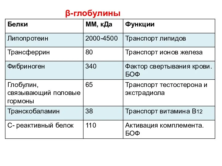 β-глобулины