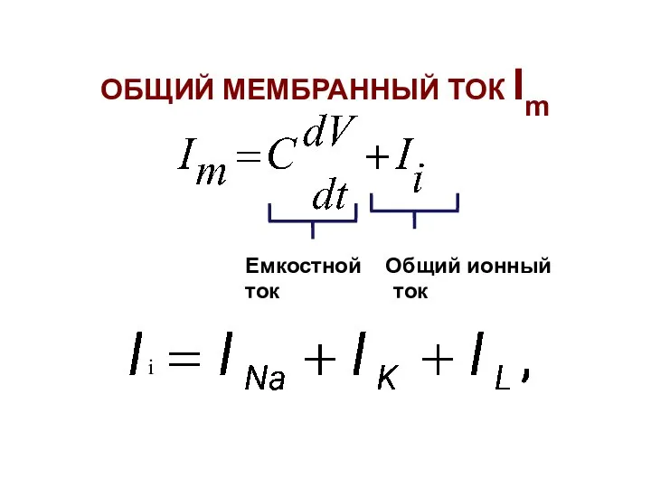 ОБЩИЙ МЕМБРАННЫЙ ТОК Im i Емкостной Общий ионный ток ток