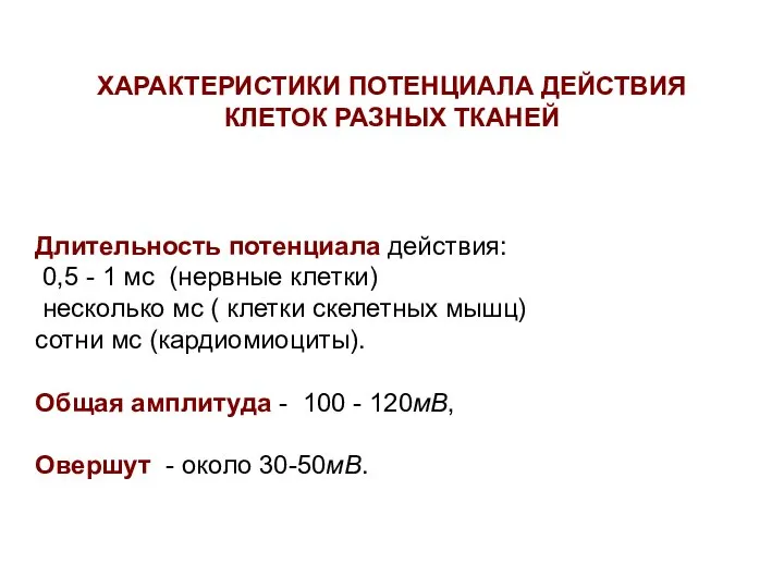 ХАРАКТЕРИСТИКИ ПОТЕНЦИАЛА ДЕЙСТВИЯ КЛЕТОК РАЗНЫХ ТКАНЕЙ Длительность потенциала действия: 0,5 -