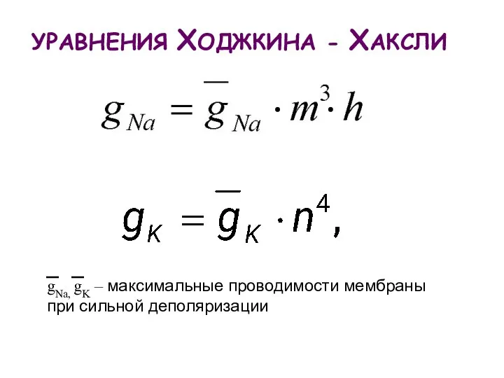 УРАВНЕНИЯ ХОДЖКИНА - ХАКСЛИ gNa, gK – максимальные проводимости мембраны при сильной деполяризации