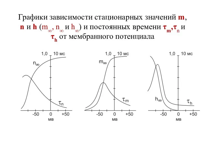 Графики зависимости стационарных значений m, n и h (m∞, n∞ и