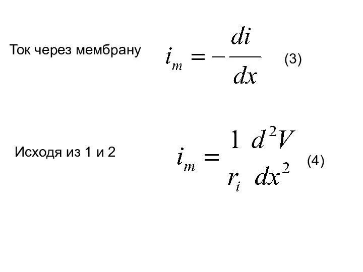 Ток через мембрану Исходя из 1 и 2 (3) (4)