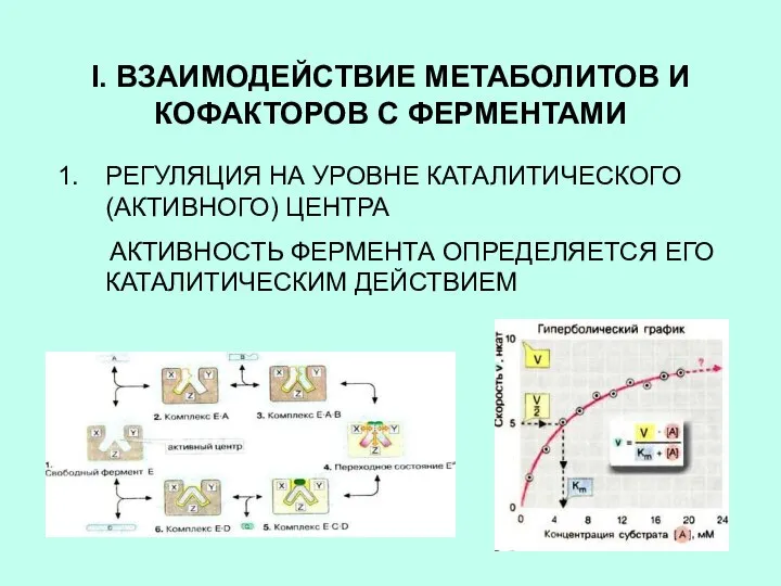 I. ВЗАИМОДЕЙСТВИЕ МЕТАБОЛИТОВ И КОФАКТОРОВ С ФЕРМЕНТАМИ РЕГУЛЯЦИЯ НА УРОВНЕ КАТАЛИТИЧЕСКОГО