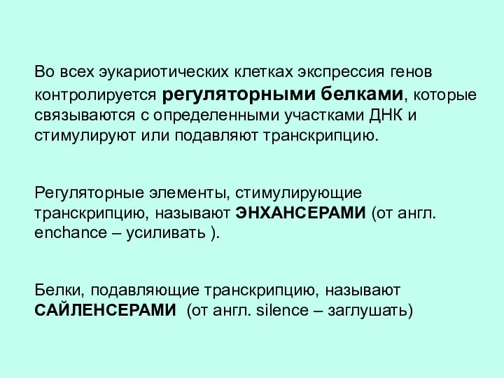 Во всех эукариотических клетках экспрессия генов контролируется регуляторными белками, которые связываются