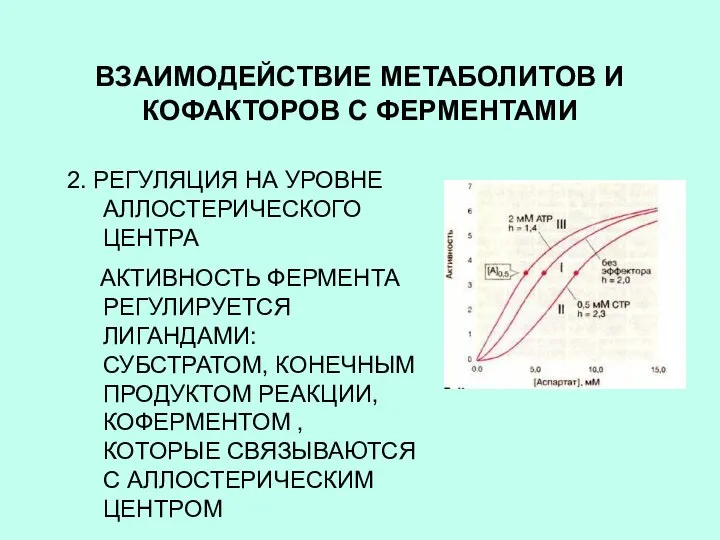 ВЗАИМОДЕЙСТВИЕ МЕТАБОЛИТОВ И КОФАКТОРОВ С ФЕРМЕНТАМИ 2. РЕГУЛЯЦИЯ НА УРОВНЕ АЛЛОСТЕРИЧЕСКОГО